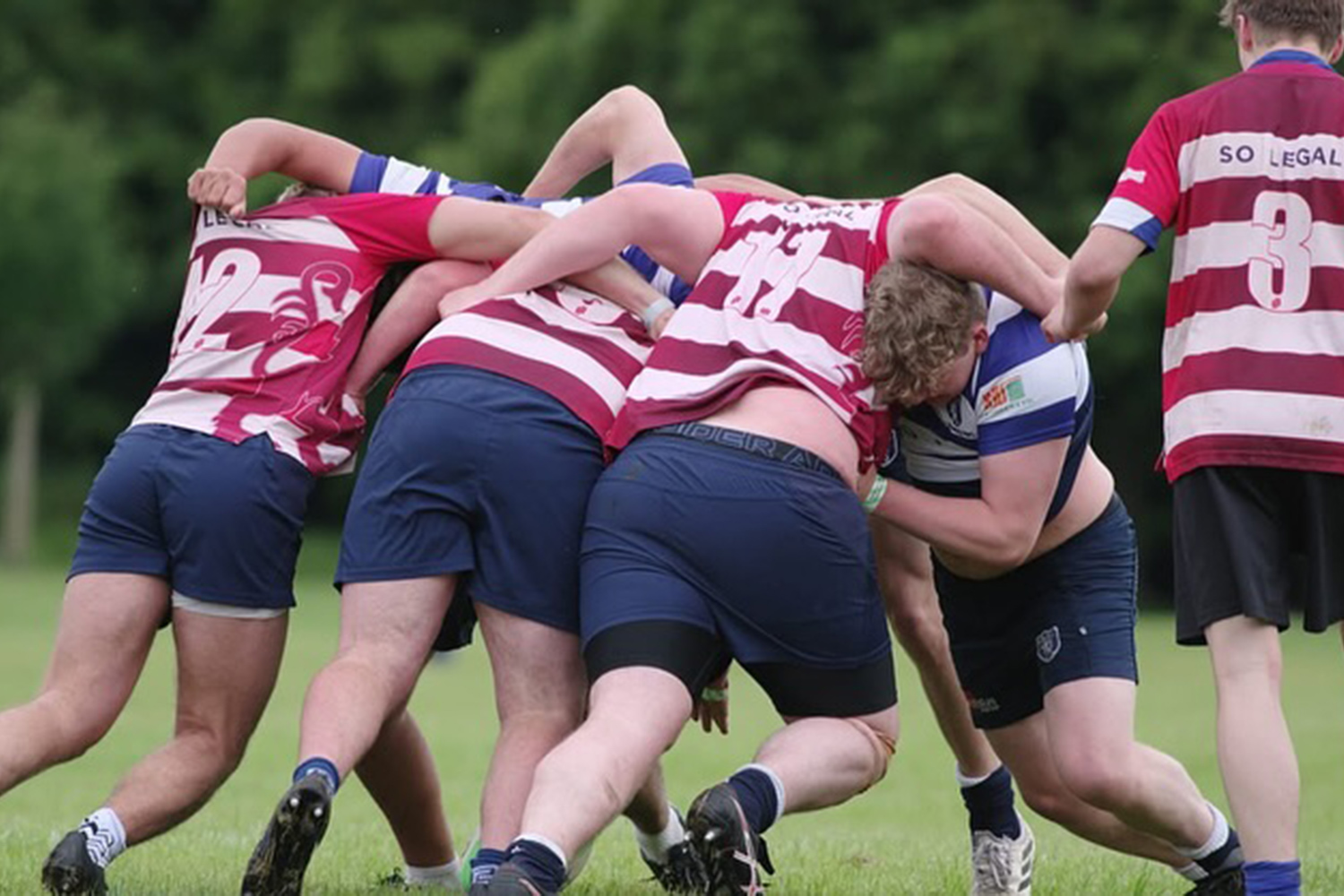 Lewes Rugby Rugby Registration - Lewes Music Festival